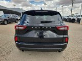 Used 2023 Ford Escape ST-Line image 5