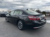 Used 2017 Honda Accord EX-L image 5