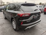 Used 2025 Ford Escape Active w/ Tech Pack #1 image 4