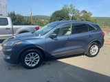 Used 2020 Ford Escape SE image 2