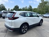 Used 2022 Honda CR-V Special Edition image 5