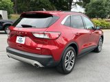 Used 2020 Ford Escape SEL image 3