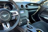 Certified 2019 Ford Mustang Coupe image 5