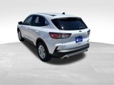 Used 2020 Ford Escape SE image 4
