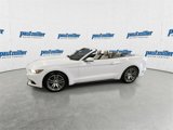 Used 2016 Ford Mustang Premium image 6