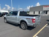 Used 2019 Ford F150 XLT w/ Equipment Group 302A Luxury image 3