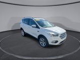 Used 2019 Ford Escape Titanium image 2