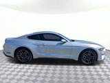 Used 2019 Ford Mustang Coupe w/ Equipment Group 101A image 2
