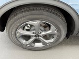 New 2025 Ford Escape ST-Line w/ Cold Weather Package image 4