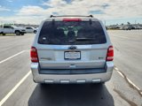 Used 2011 Ford Escape Limited w/ 301A Rapid Spec Order Code image 6