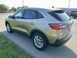 Used 2020 Ford Escape SE image 3