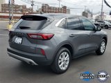 Certified 2024 Ford Escape Active image 3