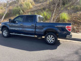 Used 2013 Ford F150 XLT w/ Luxury Equipment Group image 2