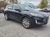 Used 2022 Ford Escape Titanium w/ Titanium Elite Package image 3