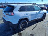 Used 2023 Jeep Cherokee Altitude Lux image 4