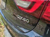 Used 2020 INFINITI QX60 Pure image 6