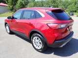 Used 2022 Ford Escape SE image 3