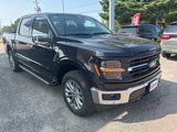 New 2024 Ford F150 XLT w/ Equipment Group 303A High image 2