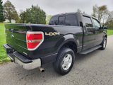 Used 2013 Ford F150 XLT w/ XLT Convenience Pkg image 6