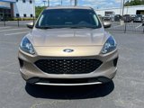 Used 2020 Ford Escape SE image 3