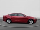 Used 2020 Ford Fusion Energi Titanium image 3