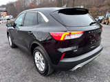 Used 2020 Ford Escape SE image 5