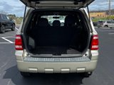 Used 2011 Ford Escape XLT w/ 202A Rapid Spec Order Code image 5