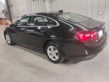 Used 2024 Chevrolet Malibu LT image 3
