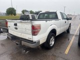 Used 2011 Ford F150 XLT w/ XLT Convenience Pkg image 4