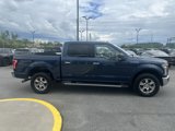 Used 2016 Ford F150 XLT w/ Equipment Group 302A Luxury image 6