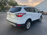 Used 2017 Ford Escape SE w/ Equipment Group 201A image 5