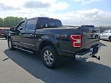 Certified 2020 Ford F150 XLT w/ Equipment Group 302A Luxury image 4