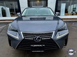 Used 2018 Lexus NX 300h AWD w/ Premium Package image 4
