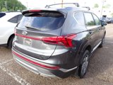 Used 2022 Hyundai Santa Fe SEL image 4