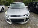 Used 2013 Ford Escape SEL image 2
