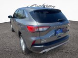 Used 2022 Ford Escape SE w/ Convenience Package image 5