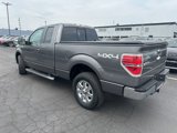 Used 2013 Ford F150 XLT w/ Luxury Equipment Group image 6