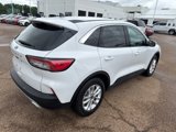 Used 2020 Ford Escape SE image 2