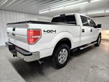 Used 2013 Ford F150 XLT w/ Luxury Equipment Group image 2