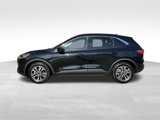 Certified 2022 Ford Escape SEL image 3