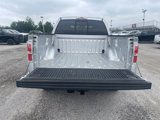 Used 2014 Ford F150 XLT w/ Equipment Group 302A Luxury image 5