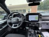 Certified 2023 Ford F150 XLT w/ Equipment Group 302A High image 3