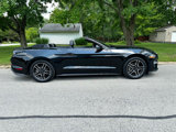 Used 2019 Ford Mustang Premium image 6