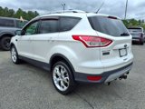 Used 2013 Ford Escape Titanium w/ Class II Trailer Tow Pkg image 3