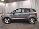 Used 2020 Ford EcoSport SE w/ SE Convenience Package image 5