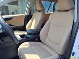 Used 2019 Toyota RAV4 LE image 3