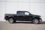 Used 2013 Ford F150 XLT w/ Luxury Equipment Group image 2