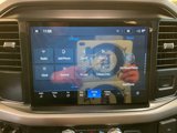 New 2025 Ford F150 XLT w/ Equipment Group 301A Standard image 4