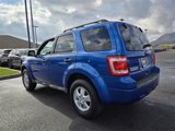Used 2011 Ford Escape XLT w/ 202A Rapid Spec Order Code image 4
