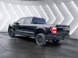 Used 2022 Ford F150 XL w/ STX Black Appearance Package image 4